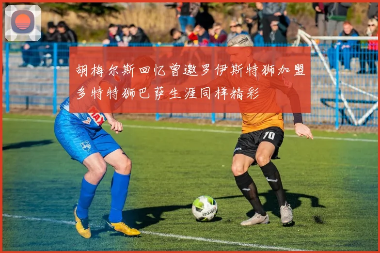胡梅尔斯回忆曾邀罗伊斯特狮加盟多特特狮巴萨生涯同样精彩