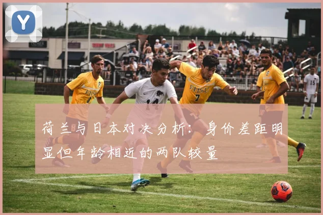 荷兰与日本对决分析：身价差距明显但年龄相近的两队较量