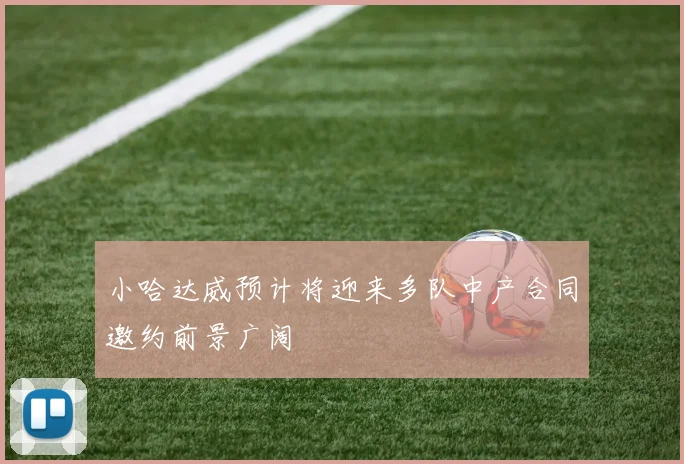 小哈达威预计将迎来多队中产合同邀约前景广阔