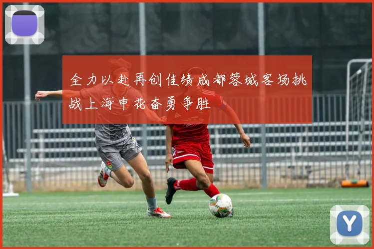 全力以赴再创佳绩成都蓉城客场挑战上海申花奋勇争胜